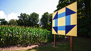 Barn quilt board beside cornfield